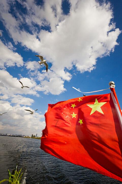 传说“千年人参会跑”，这是真的吗？老人告知背后原因游戏画面